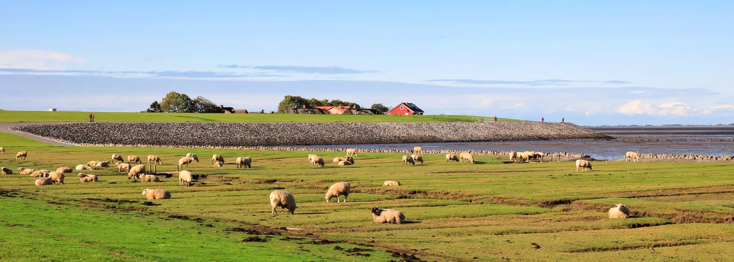 Ferienhäuser & Ferienwohnungen auf Nordstrand: Ruhe, Deich und ganz viel Horizont