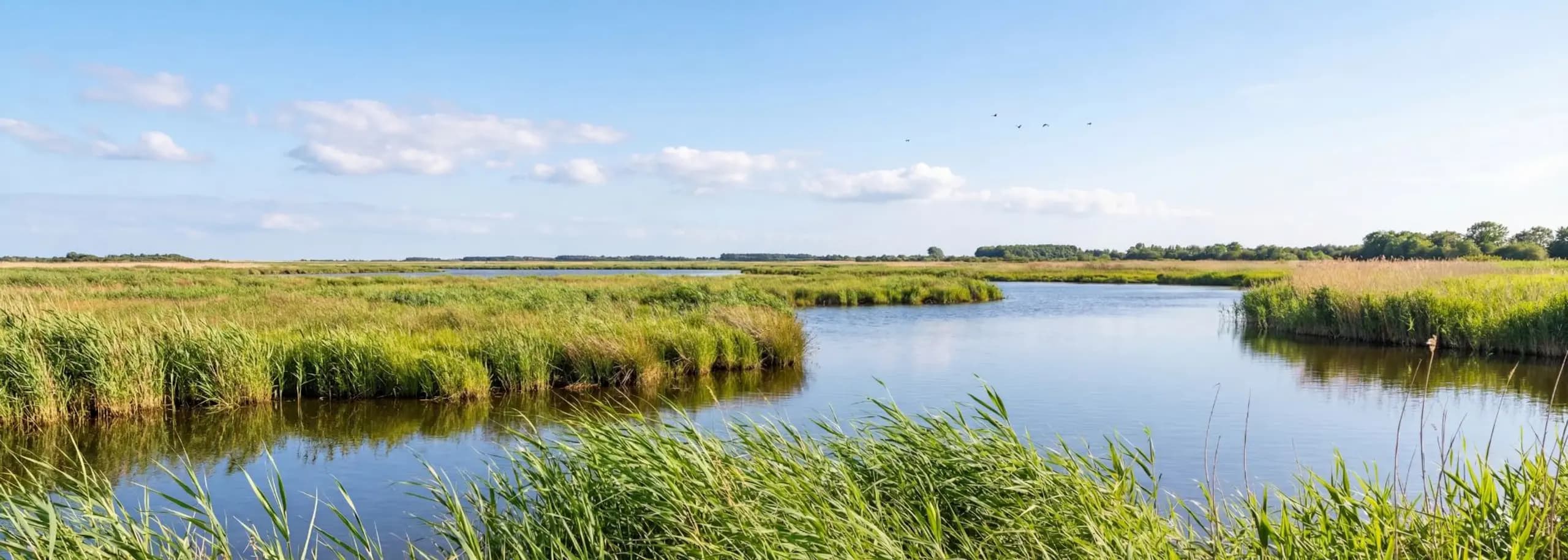 Ferienhaus und Ferienwohnung in Risum-Lindholm: friesischer Charakter mit guter Anbindung