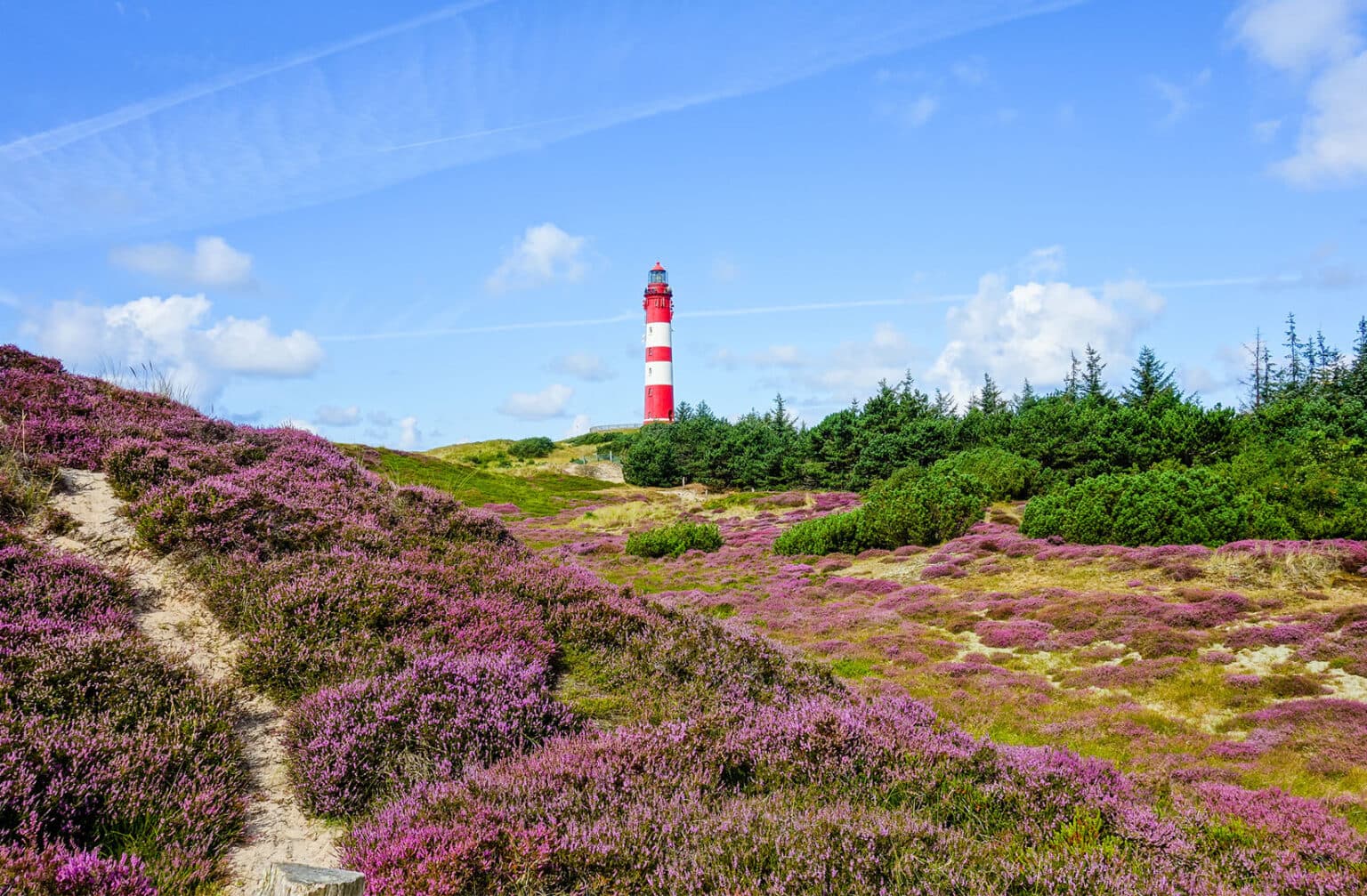 Leuchtturm und Dünenlandschaft auf Amrum