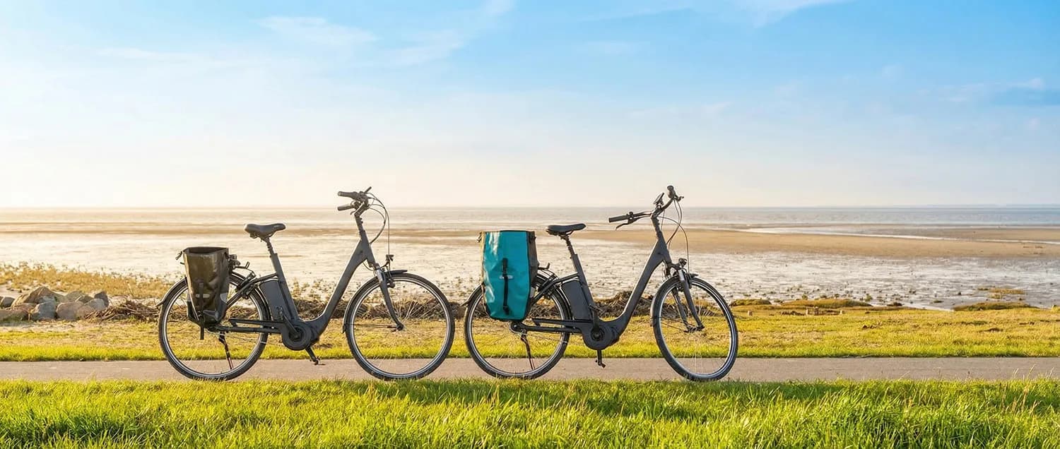 Zwei E-Bikes am Deich in Husum mit Blick auf das Wattenmeer