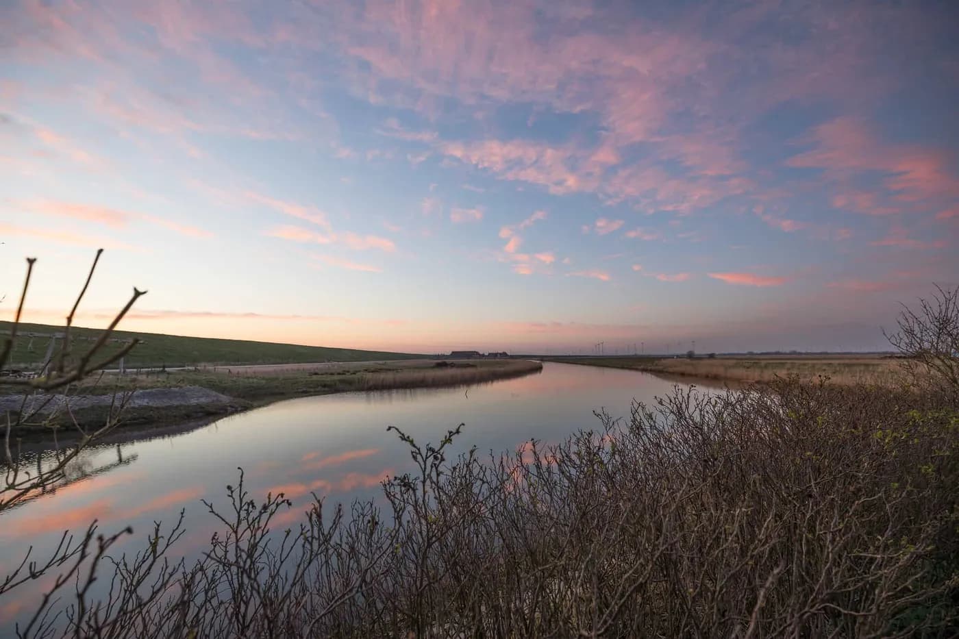 Das Naturschutzgebiet Beltringharder Koog