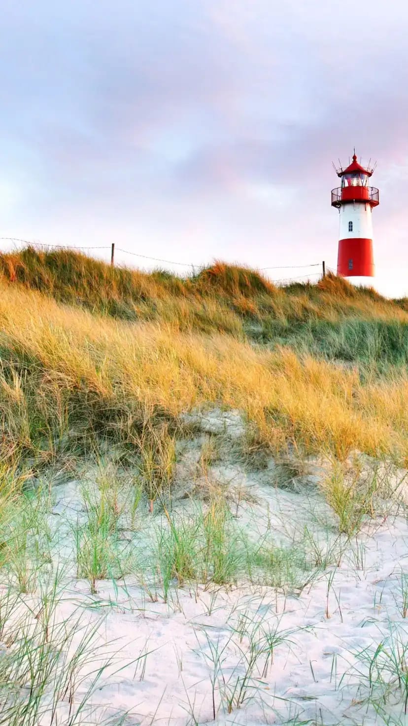 Ferienhaus Husum Nordsee mieten Ferienhaus Husum Nordsee