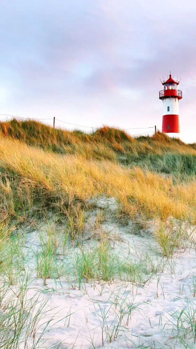 Ferienhaus Husum Nordsee mieten Ferienhaus Husum Nordsee