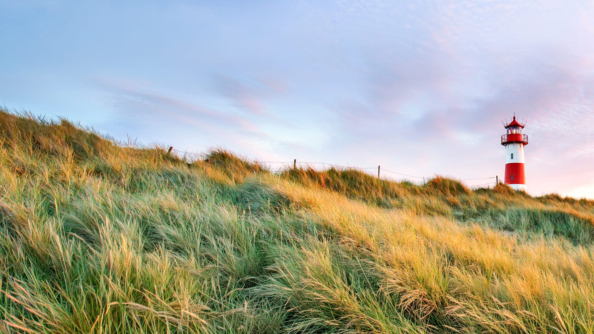 Ferienhaus an der Nordsee buchen, Urlaub in Nordfriesland Rot-weißer Leuchtturm hinter Dünen mit Strandgras an der Nordsee im Abendlicht, Ferienhaus-Urlaub in Nordfriesland