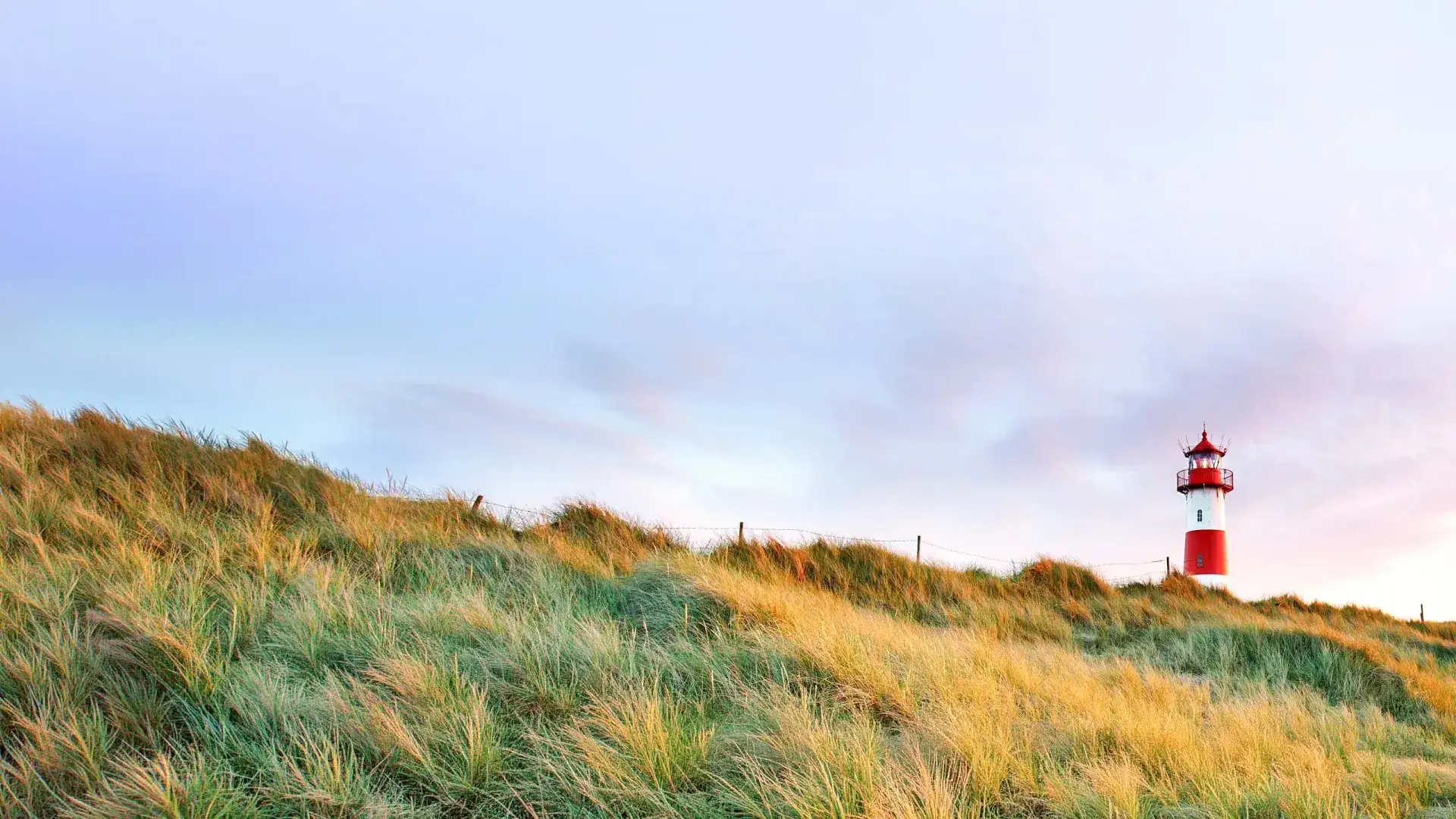 Ferienhaus an der Nordsee buchen – Urlaub in Nordfriesland Leuchtturm an der Nordsee hinter Dünen mit Strandgras – Ferienhaus-Urlaub in Nordfriesland